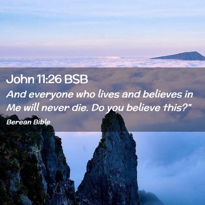 Picture 02 - John 11:26 BSB - And everyone who lives and believes in Me will - Bible Verse Picture