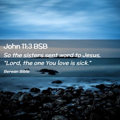 Picture 02 - John 11:3 BSB - So the sisters sent word to Jesus, “Lord, the - Bible Verse Picture