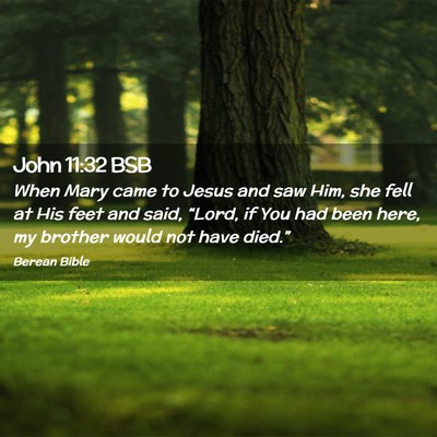 Picture 02 - John 11:32 BSB - When Mary came to Jesus and saw Him, she fell at - Bible Verse Picture