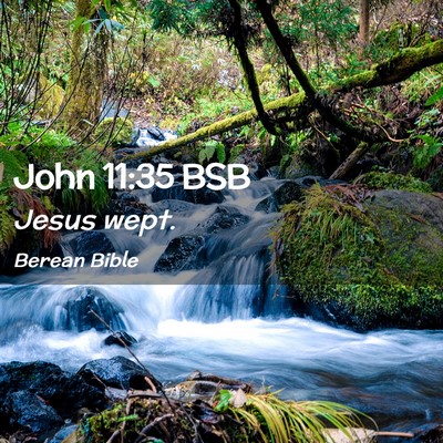 Picture 02 - John 11:35 BSB - Jesus - Bible Verse Picture