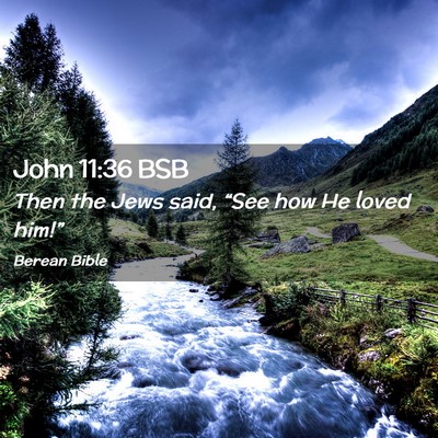 Picture 02 - John 11:36 BSB - Then the Jews said, “See how He loved - Bible Verse Picture