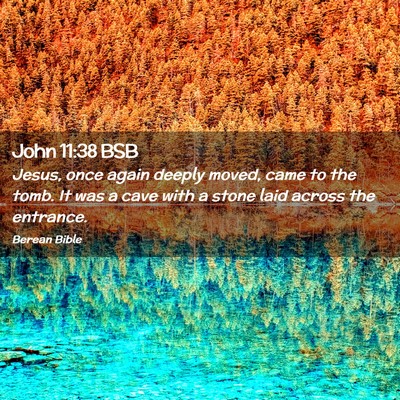 Picture 02 - John 11:38 BSB - Jesus, once again deeply moved, came to the tomb. - Bible Verse Picture