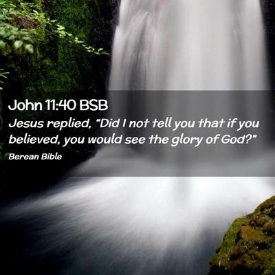Picture 02 - John 11:40 BSB - Jesus replied, “Did I not tell you that if you - Bible Verse Picture