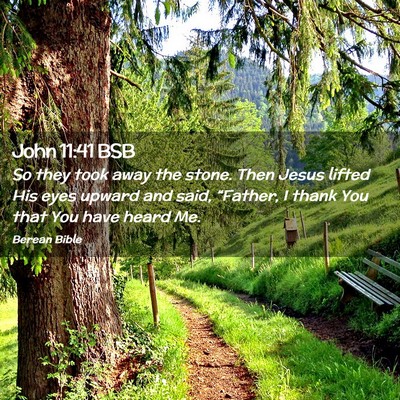 Picture 02 - John 11:41 BSB - So they took away the stone. Then Jesus lifted - Bible Verse Picture