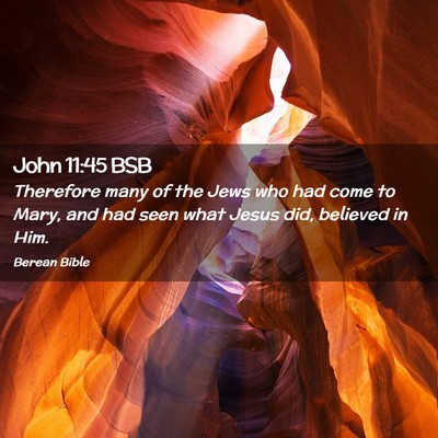 Picture 02 - John 11:45 BSB - Therefore many of the Jews who had come to Mary, - Bible Verse Picture