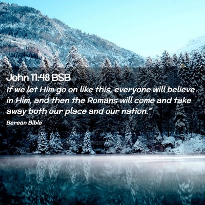 Picture 02 - John 11:48 BSB - If we let Him go on like this, everyone will - Bible Verse Picture