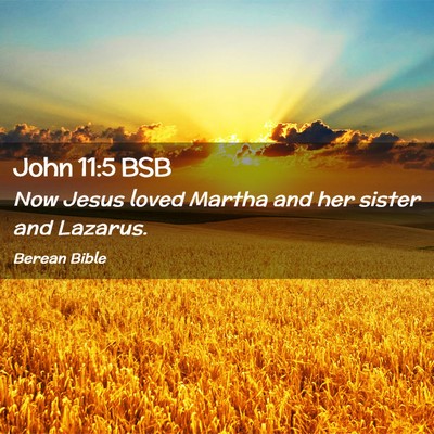 Picture 02 - John 11:5 BSB - Now Jesus loved Martha and her sister and - Bible Verse Picture