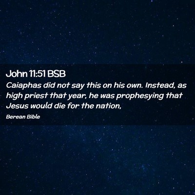 Picture 02 - John 11:51 BSB - Caiaphas did not say this on his own. Instead, as - Bible Verse Picture