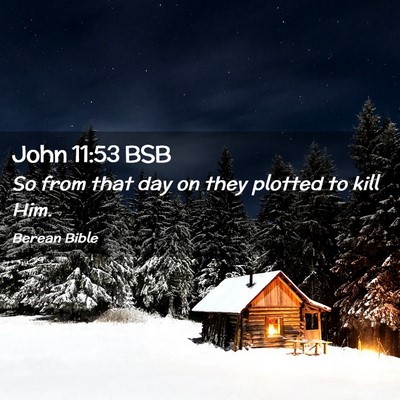 Picture 02 - John 11:53 BSB - So from that day on they plotted to kill - Bible Verse Picture