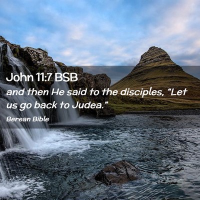 Picture 02 - John 11:7 BSB - and then He said to the disciples, “Let us go - Bible Verse Picture