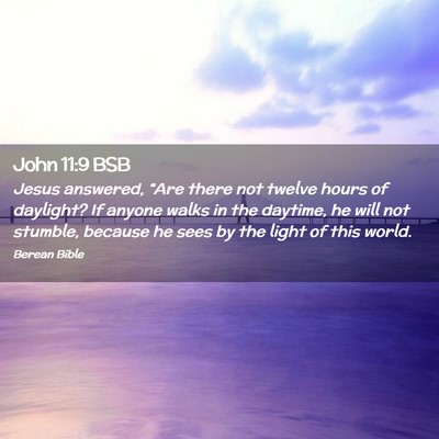 Picture 02 - John 11:9 BSB - Jesus answered, “Are there not twelve hours of - Bible Verse Picture