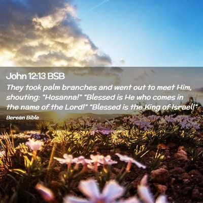 Picture 02 - John 12:13 BSB - They took palm branches and went out to meet Him, - Bible Verse Picture