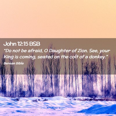 Picture 02 - John 12:15 BSB - “Do not be afraid, O Daughter of Zion. See, - Bible Verse Picture