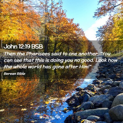 Picture 02 - John 12:19 BSB - Then the Pharisees said to one another, “You - Bible Verse Picture