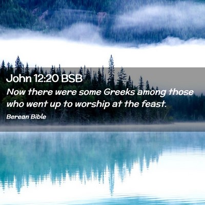 Picture 02 - John 12:20 BSB - Now there were some Greeks among those who went - Bible Verse Picture