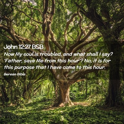 Picture 02 - John 12:27 BSB - Now My soul is troubled, and what shall I say? - Bible Verse Picture