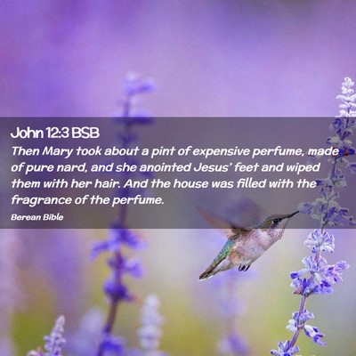 Picture 02 - John 12:3 BSB - Then Mary took about a pint of expensive perfume, - Bible Verse Picture