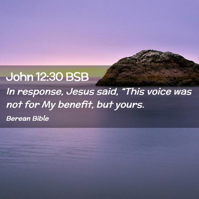 Picture 02 - John 12:30 BSB - In response, Jesus said, “This voice was not - Bible Verse Picture