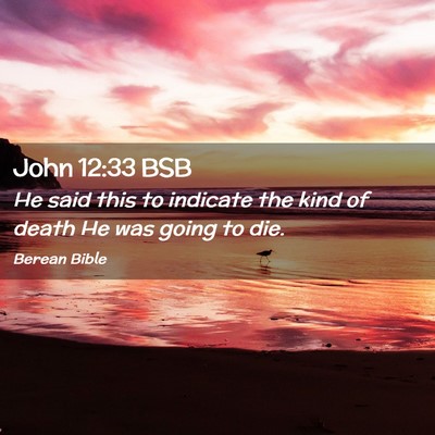 Picture 02 - John 12:33 BSB - He said this to indicate the kind of death He was - Bible Verse Picture