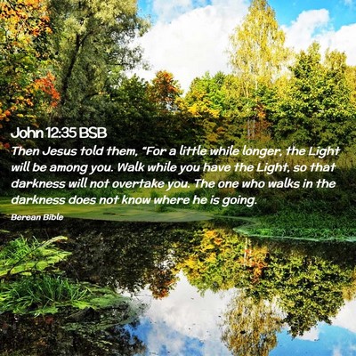 Picture 02 - John 12:35 BSB - Then Jesus told them, “For a little while - Bible Verse Picture
