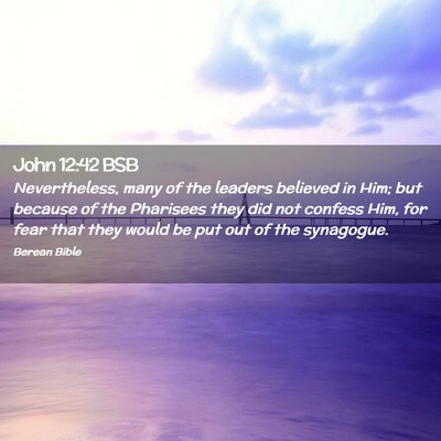 Picture 02 - John 12:42 BSB - Nevertheless, many of the leaders believed in - Bible Verse Picture