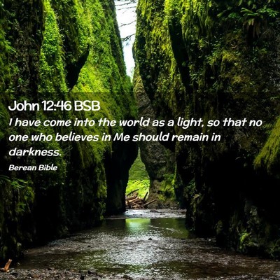 Picture 02 - John 12:46 BSB - I have come into the world as a light, so that no - Bible Verse Picture