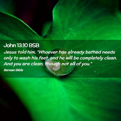 Picture 02 - John 13:10 BSB - Jesus told him, “Whoever has already bathed - Bible Verse Picture