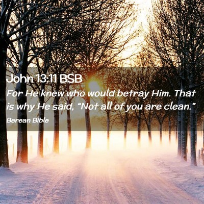 Picture 02 - John 13:11 BSB - For He knew who would betray Him. That is why He - Bible Verse Picture