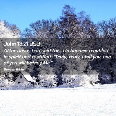 Picture 02 - John 13:21 BSB - After Jesus had said this, He became troubled in - Bible Verse Picture