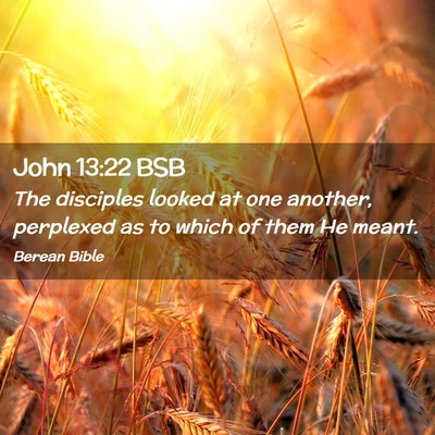 Picture 02 - John 13:22 BSB - The disciples looked at one another, perplexed as - Bible Verse Picture