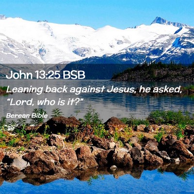 Picture 02 - John 13:25 BSB - Leaning back against Jesus, he asked, “Lord, - Bible Verse Picture