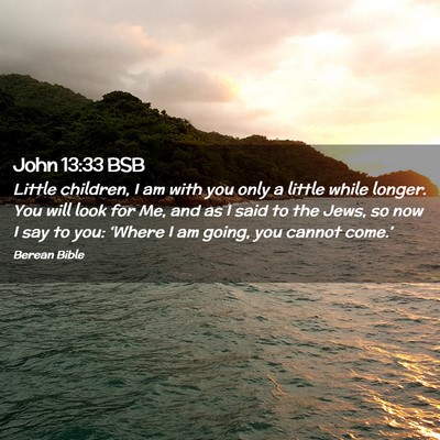 Picture 02 - John 13:33 BSB - Little children, I am with you only a little - Bible Verse Picture