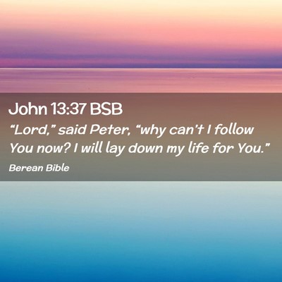 Picture 02 - John 13:37 BSB - “Lord,” said Peter, “why can’t I follow - Bible Verse Picture