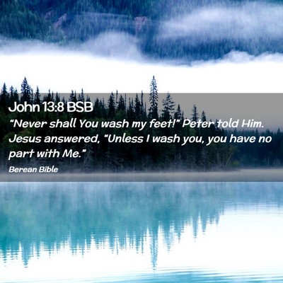 Picture 02 - John 13:8 BSB - “Never shall You wash my feet!” Peter told - Bible Verse Picture