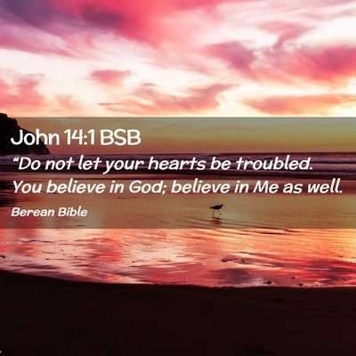 Picture 02 - John 14:1 BSB - “Do not let your hearts be troubled. You - Bible Verse Picture