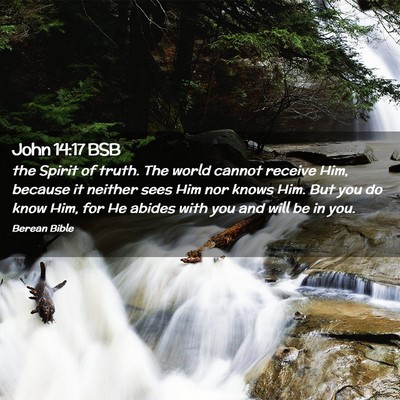 Picture 02 - John 14:17 BSB - the Spirit of truth. The world cannot receive - Bible Verse Picture