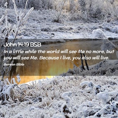 Picture 02 - John 14:19 BSB - In a little while the world will see Me no more, - Bible Verse Picture