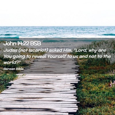 Picture 02 - John 14:22 BSB - Judas (not Iscariot) asked Him, “Lord, why are - Bible Verse Picture