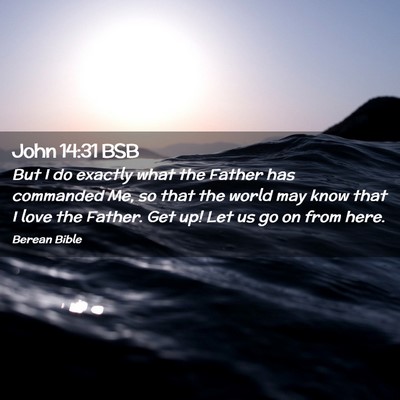 Picture 02 - John 14:31 BSB - But I do exactly what the Father has commanded - Bible Verse Picture