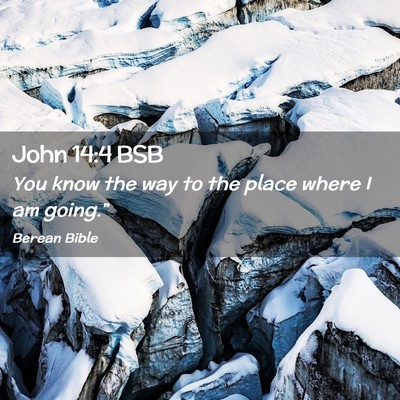 Picture 02 - John 14:4 BSB - You know the way to the place where I am - Bible Verse Picture