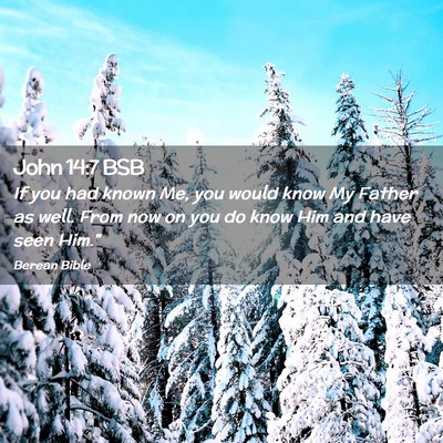 Picture 02 - John 14:7 BSB - If you had known Me, you would know My Father as - Bible Verse Picture