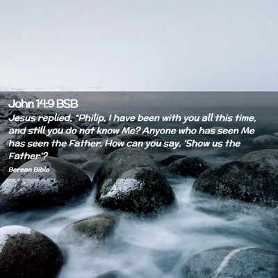 Picture 02 - John 14:9 BSB - Jesus replied, “Philip, I have been with you - Bible Verse Picture