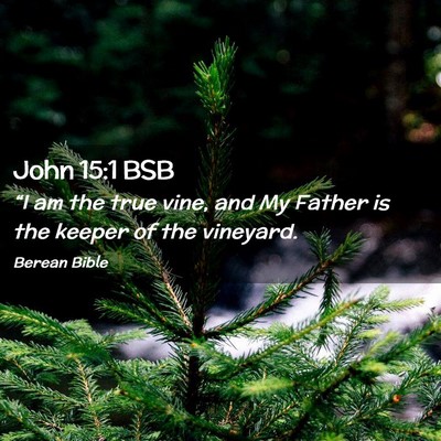 Picture 02 - John 15:1 BSB - “I am the true vine, and My Father is the - Bible Verse Picture