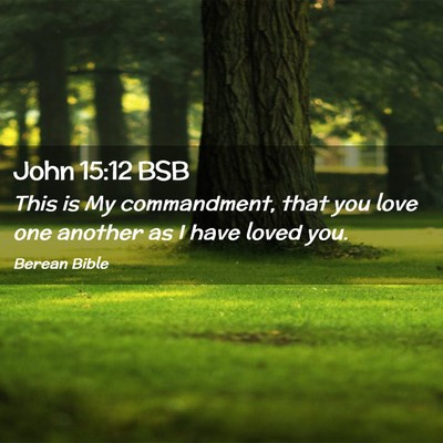 Picture 02 - John 15:12 BSB - This is My commandment, that you love one another - Bible Verse Picture