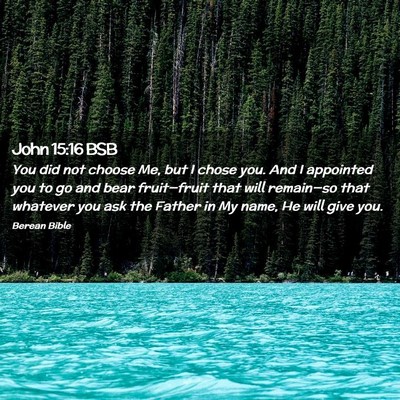 Picture 02 - John 15:16 BSB - You did not choose Me, but I chose you. And I - Bible Verse Picture