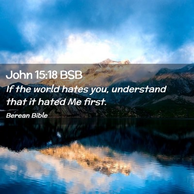 Picture 02 - John 15:18 BSB - If the world hates you, understand that it hated - Bible Verse Picture