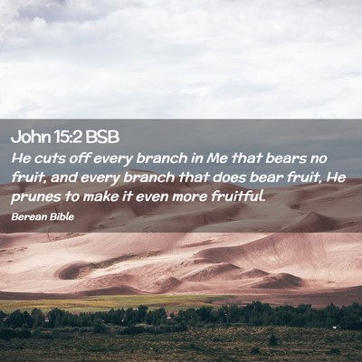 Picture 02 - John 15:2 BSB - He cuts off every branch in Me that bears no - Bible Verse Picture