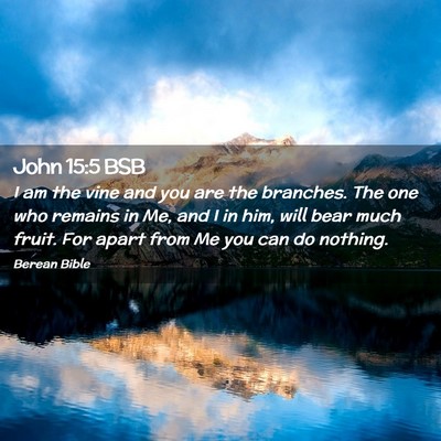 Picture 02 - John 15:5 BSB - I am the vine and you are the branches. The one - Bible Verse Picture