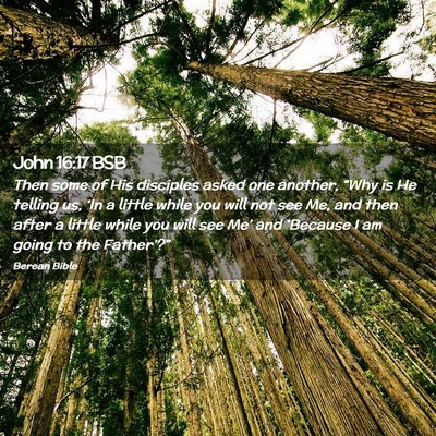 Picture 02 - John 16:17 BSB - Then some of His disciples asked one another, - Bible Verse Picture