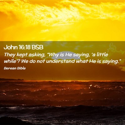 Picture 02 - John 16:18 BSB - They kept asking, “Why is He saying, ‘a - Bible Verse Picture
